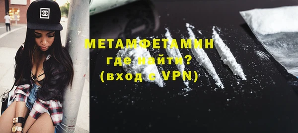 шишки Сатка