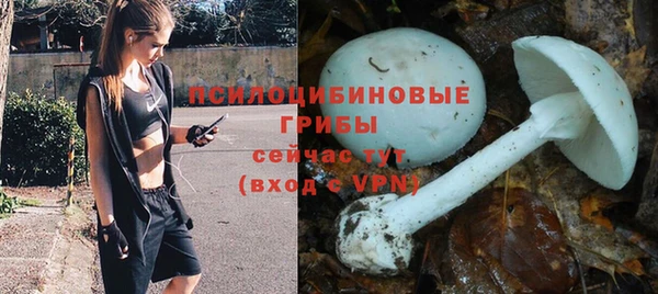 прущие крисы Арсеньев