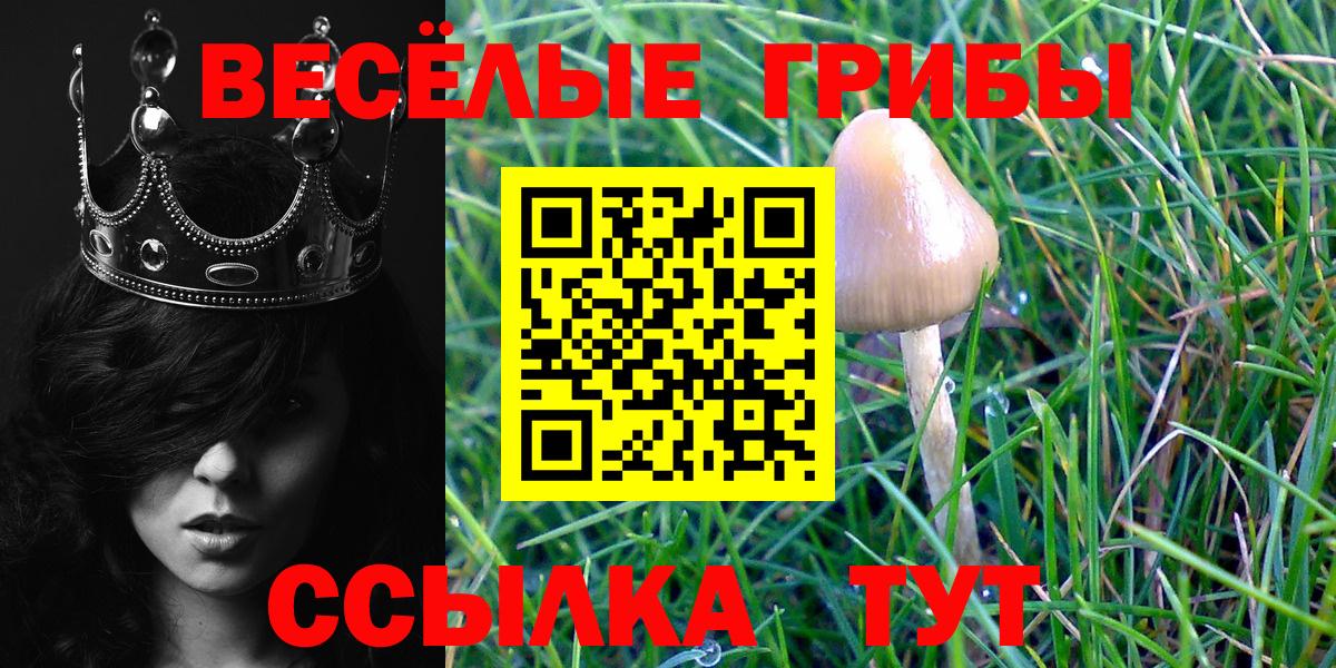 Новодвинск  Галлюциногенные грибы мухоморы  Вход с VPN  Галлюциногенные грибы GOLDEN TEACHER 