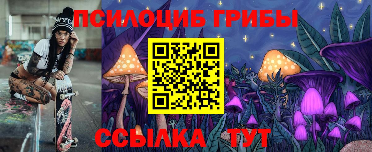 Псилоцибиновые грибы мицелий Новодвинск